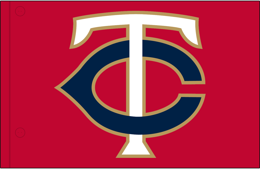 Minnesota Twins 2016-Pres Jersey Logo DIY iron on transfer (heat transfer)